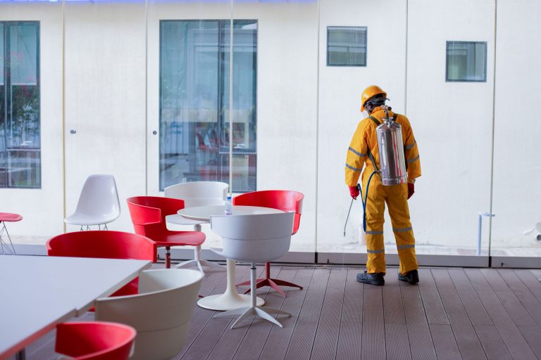 The Importance Of Pest Control For Offices That You Need To ...