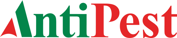 AntiPest Logo
